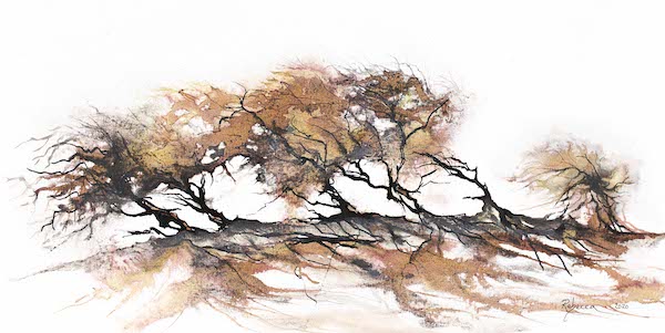 A drawing of trees bent over by strong winds